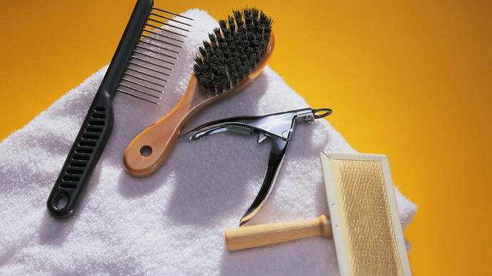 7 Alat Grooming Hewan Peliharaan yang Wajib Dimiliki di Rumah