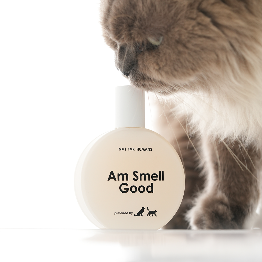 Not For Humans - Am Smell Good Pet Fragrance